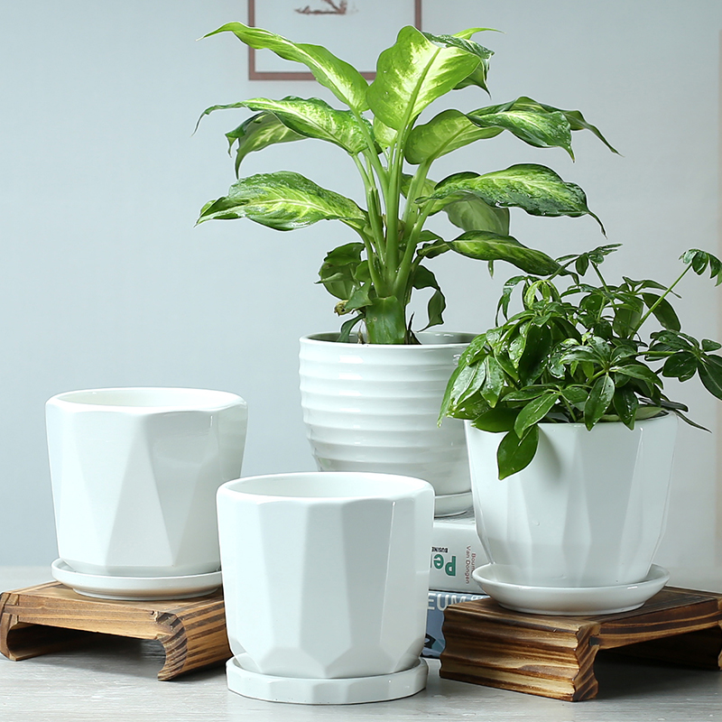 Large deep pot blue flower pot expressions using basin grow rich ceramic basin high indoor household money plant trees