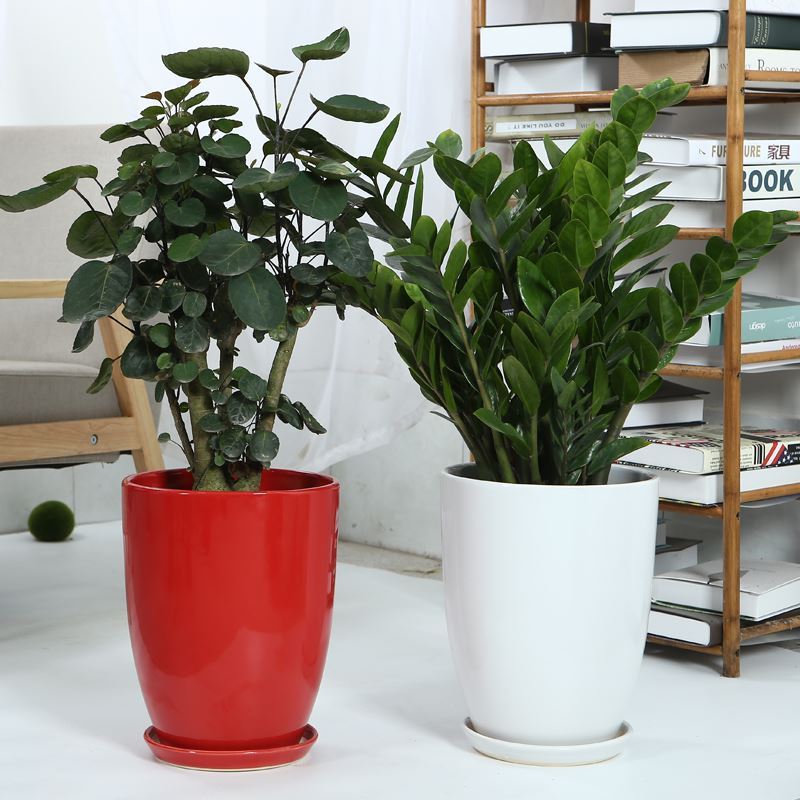 Flowerpot ceramic oversized contracted creative high model of indoor ground large plant pot white plastics bag in the mail