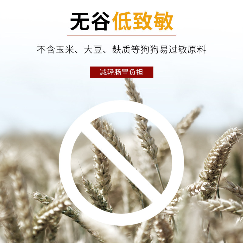 Papa Wang's Special Fawn Dog Full-Price Dog Food Nutritional Small Puppies and Adult Dogs Universal Exclusive Formula 2.5kg