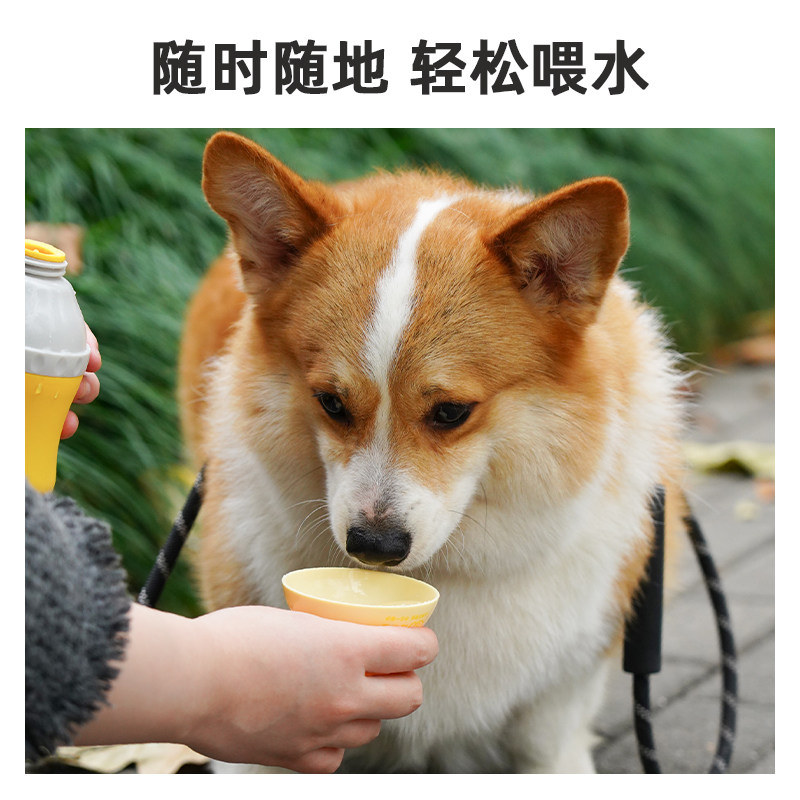 Papa Wang Dog Outing Water Cup Hanging Tumbler Water Kettle Convenient Water Feeder Pet Drinking Water Supplies