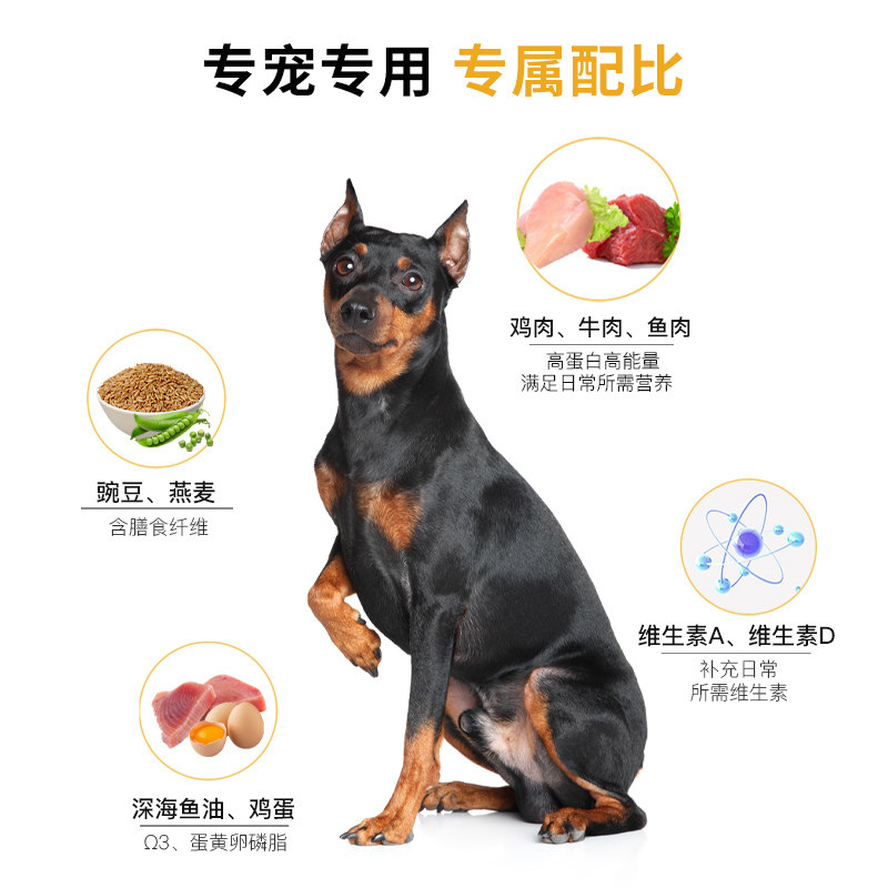 Daddy Wang's Special Doberman Full-Term Dog Food Nutritional Staple Food for Puppies, Adult Dogs, Medium and Large Dogs, Exclusive Formula 2.5kg