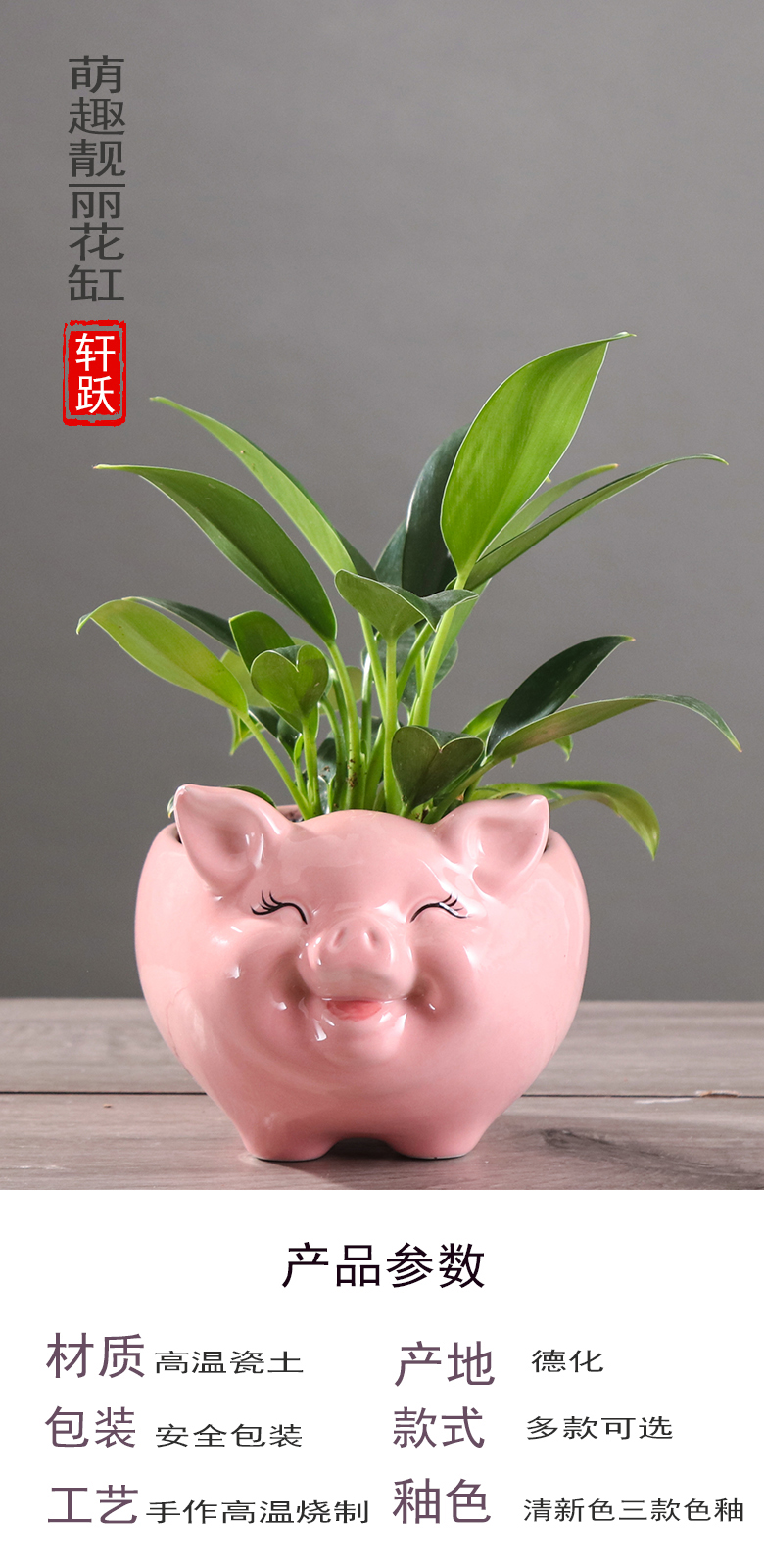Express cartoon pig meat flowerpot creative move more small green plant asparagus other animals potted flower exchanger with the ceramics
