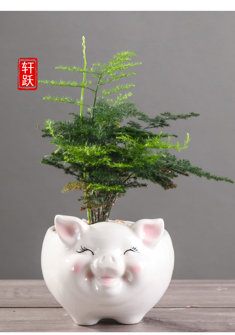 Express cartoon pig meat flowerpot creative move more small green plant asparagus other animals potted flower exchanger with the ceramics
