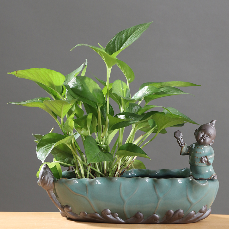 Chinese wind desktop asparagus pot pot ceramic creative move classic indoor money plant orchid art basin
