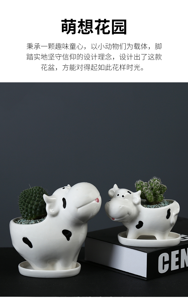 White hand - drawn cartoon animal pot with tray was small decorative the plants more meat flesh POTS, ceramic breathe freely