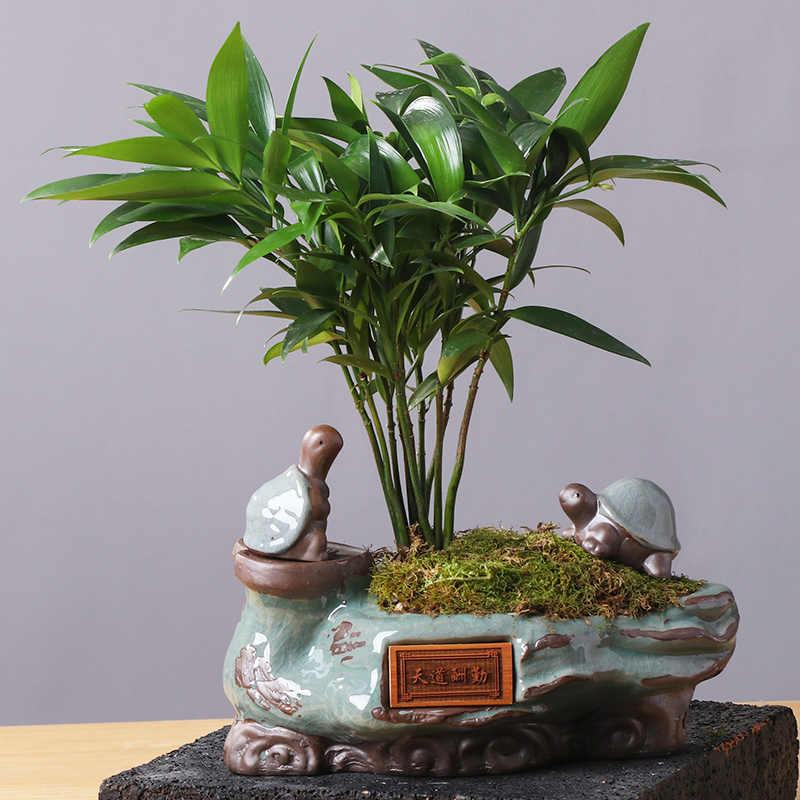 Classical flowerpot ceramic Chinese wind restoring ancient ways violet arenaceous zen creative move desktop potted the plants large flowers