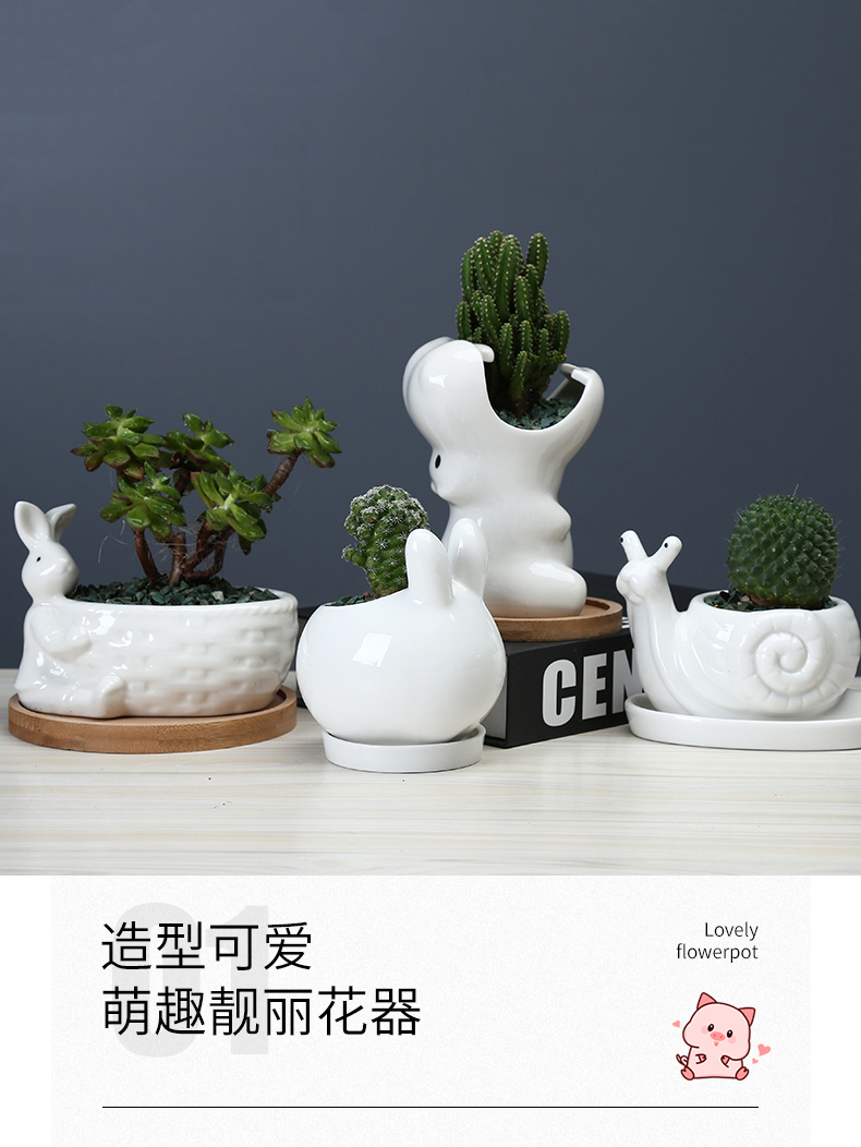 Creative move and lovely cartoon animal flowerpot more meat ceramic white office desktop small potted flower implement with tray