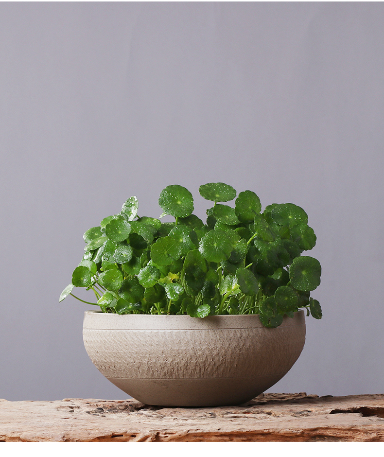 Ceramic hydroponic flower pot large creative vintage aquatic the plants indoor grass daffodils cooper money plant pot without holes
