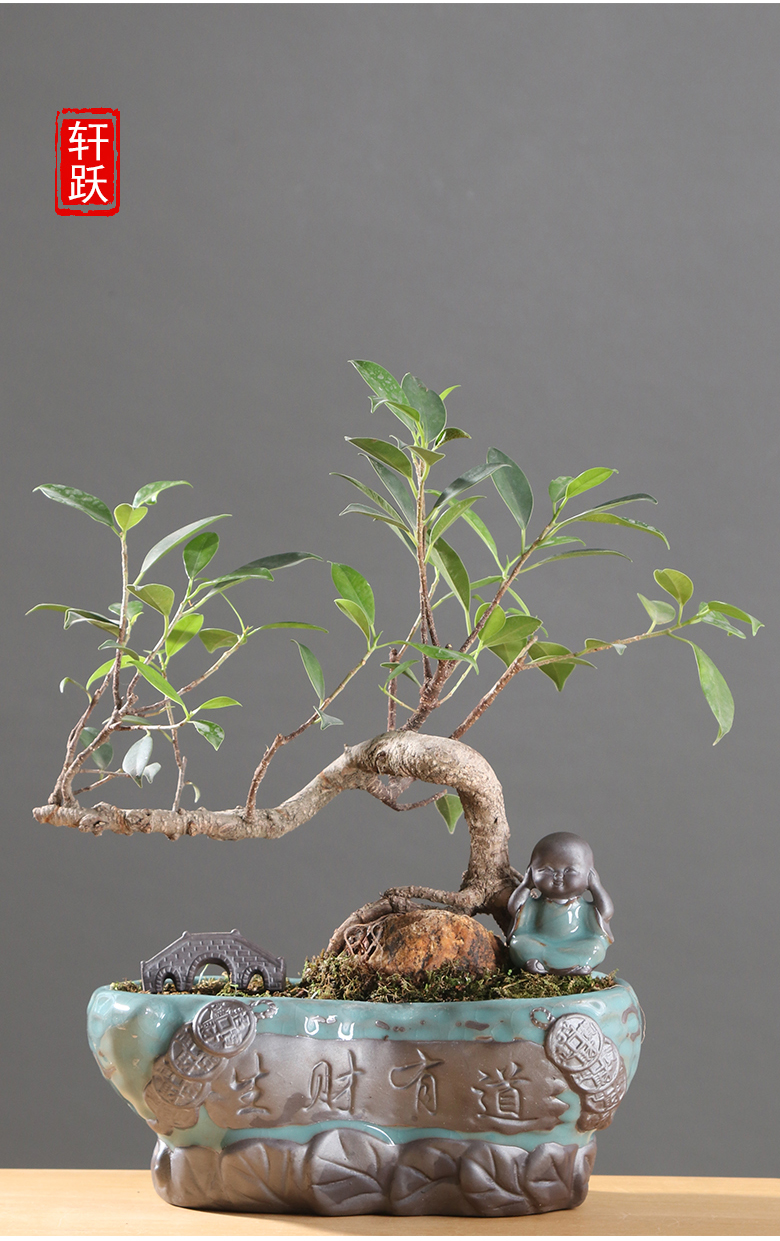 Chinese wind desktop asparagus pot pot ceramic creative move classic indoor money plant orchid art basin