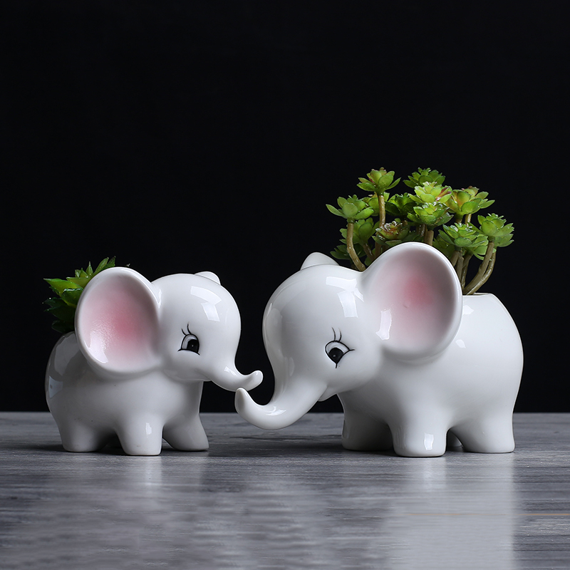 European contracted sitting room of indoor the plants flower pot home creative move and lovely cartoon ceramic flowerpot flower implement more meat