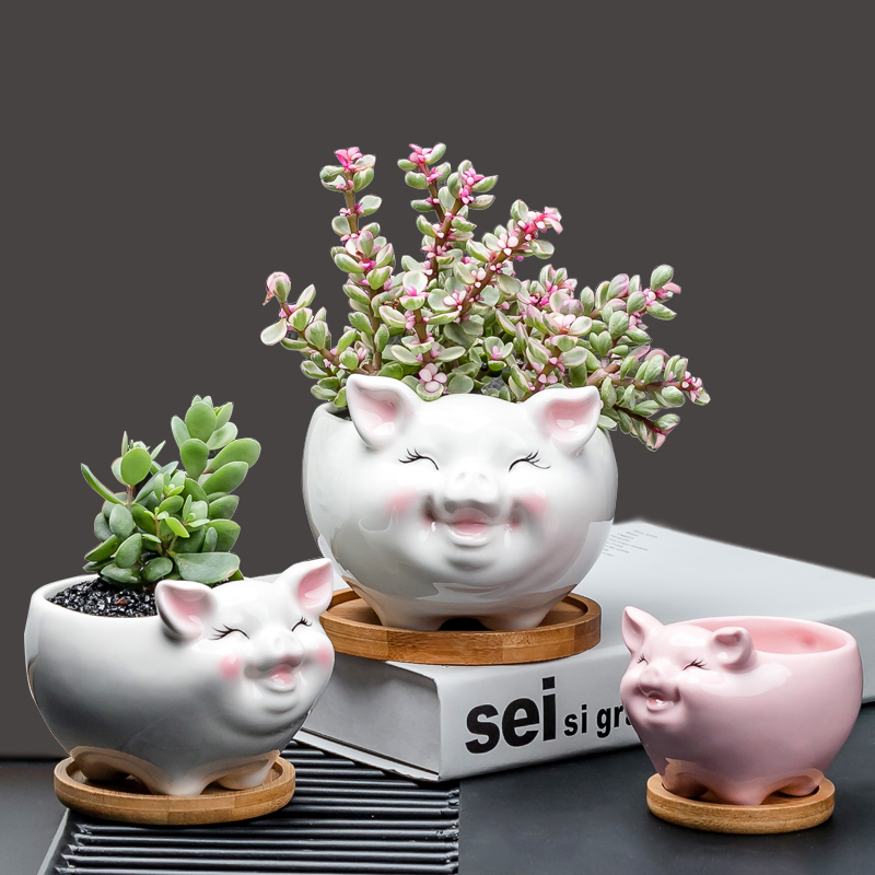 Contracted white cartoon animal meat flowerpot more creative ceramic trumpet with tray desktop celestial being plant POTS