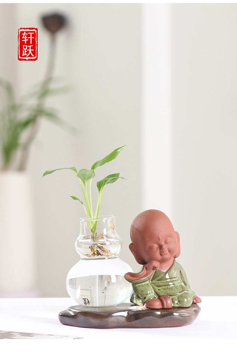 Creative water raise money plant hydroponic glass transparent pot pottery the plants flower vase desktop small place