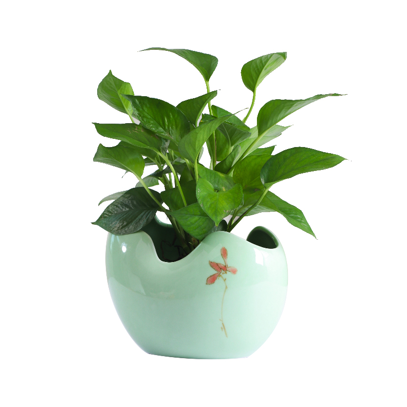 Simple ideas other grass cooper hydroponic flower pot ceramic large indoor desktop aquatic the plants vase move