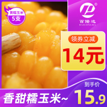 Perilonda non-GMO sweet glutinous corn stick vacuum fresh yellow cut i.e. corn 5 food sticky corn fattening