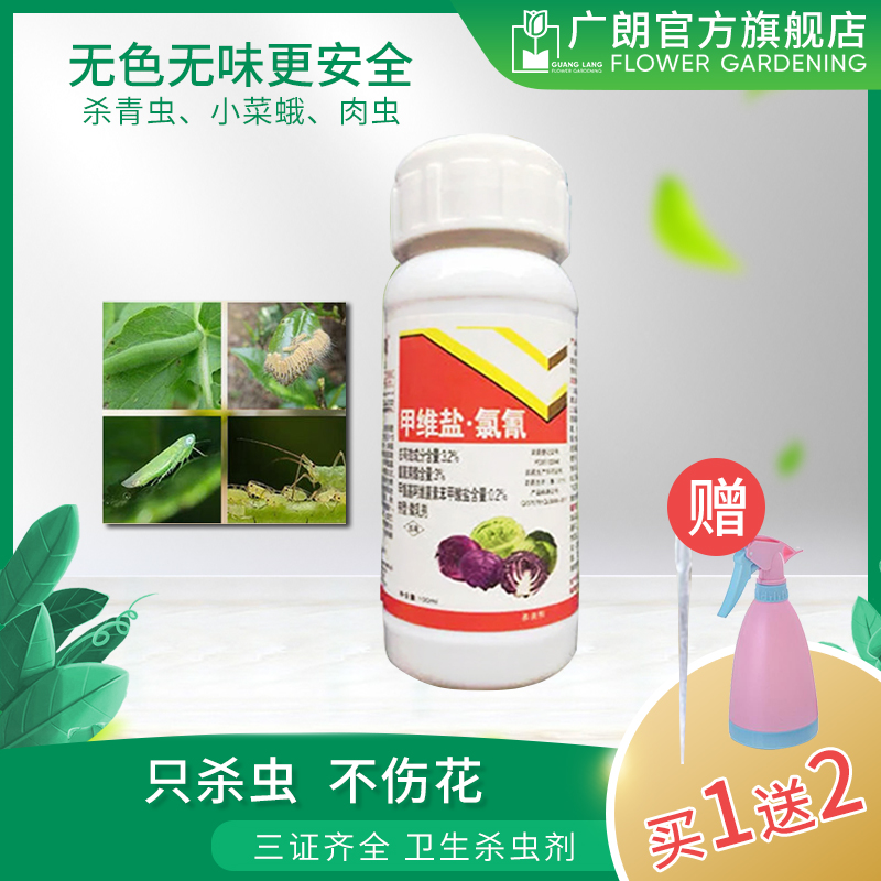 Plant flower pesticide pesticide pesticide pesticide pesticide pesticide pesticide monthly pot pot