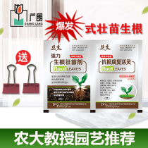 Plant sage rooting seedling powder amino acid foliar fertilizer organic fertilizer plant growth regulator nutrient agent anti-rotten root