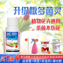 Carbendazim Flower Plant Fungicides Universal Polybacteria Lingroi Black Spot Multi-meat Powdery Mildew Anthers