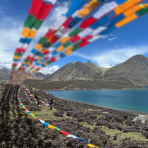 Tibet Cooperative Hanging Warp Hata Five Colors Hidden Wind Horse Flags Londharram Warp Hata