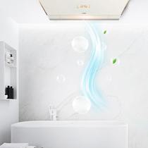 Aop integrated ceiling embedded heater bathroom toilet smart air warm baby bath heater