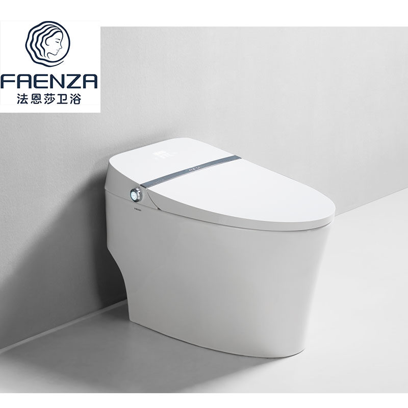 Faenza Farnsa -F5 integrated multifunctional automatic siphon flushing instant hot water closet