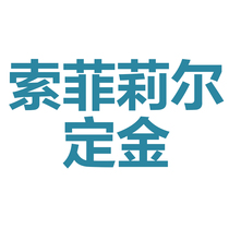 Sophie Lil deposit home environmentally friendly and healthy modern simple style texture high quality light luxury minimalist