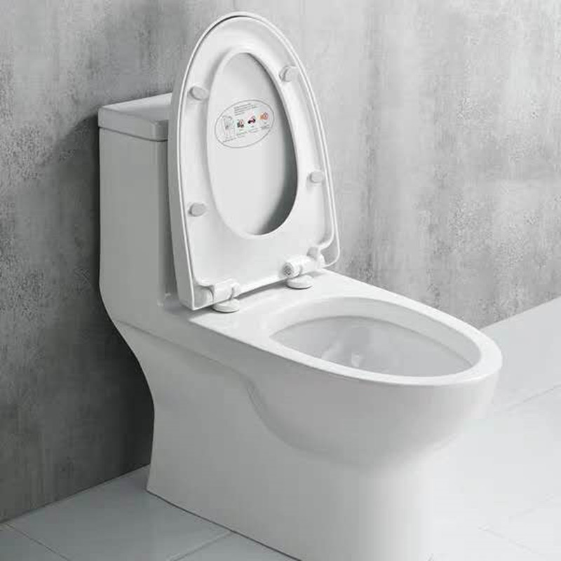 An integral toilet for the arrow of the arrow