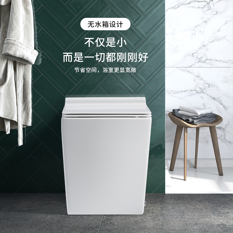 German Eurofen No Tank Pulse Type Ceramic Toilet small family Type of toilet Supercyclone electric toilet