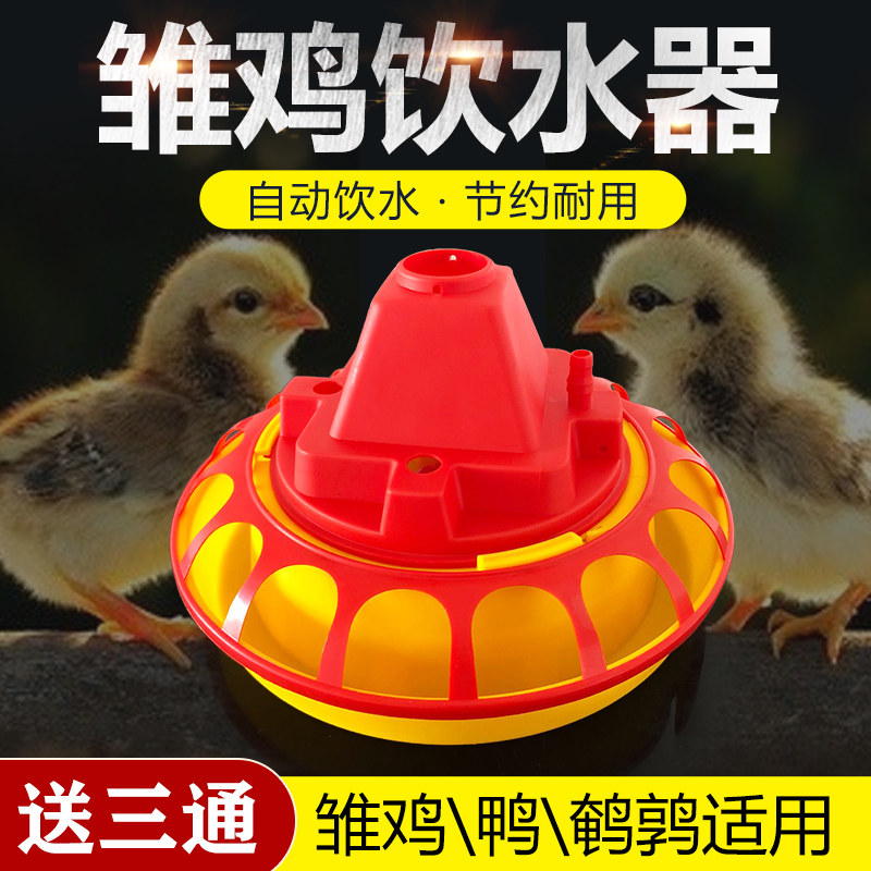 Chick with automatic drinking water Chicken Duck Goose with an automatic drinking bowl-Taobao with a small Pramatsu drinking water jug quail pigeon