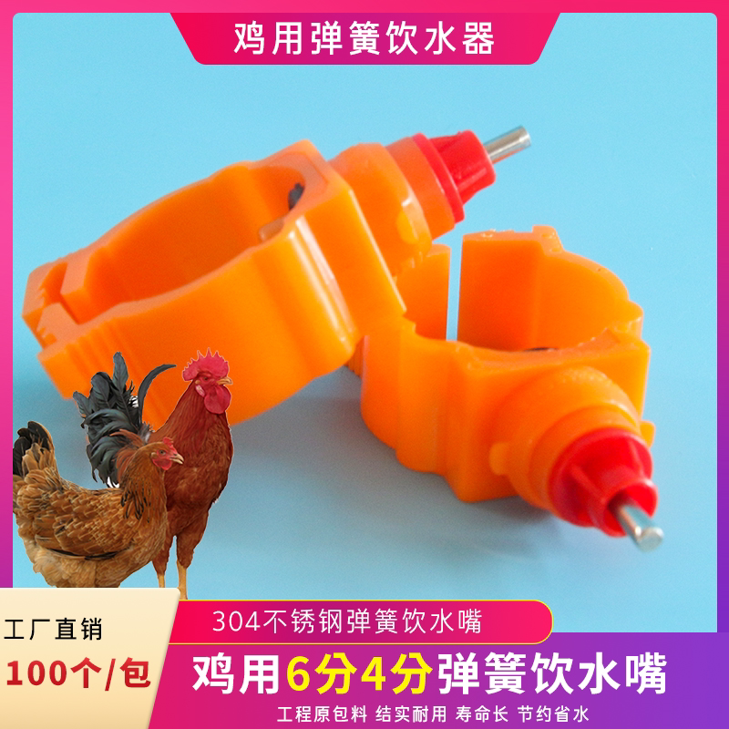 Four six-point spring chicken drinking fountain spring card chicken drinking mouth drinking mouth drinking water Tsui chicken equipment 100