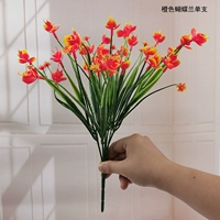 Hoa mô phỏng đơn Hoa tulip nhỏ Hoa lan hồ điệp Cây bạch đàn Milan Cây hoa nhựa Phòng khách Trang chủ Nội thất - Hoa nhân tạo / Cây / Trái cây