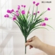 Hoa mô phỏng đơn Hoa tulip nhỏ Hoa lan hồ điệp Cây bạch đàn Milan Cây hoa nhựa Phòng khách Trang chủ Nội thất - Hoa nhân tạo / Cây / Trái cây