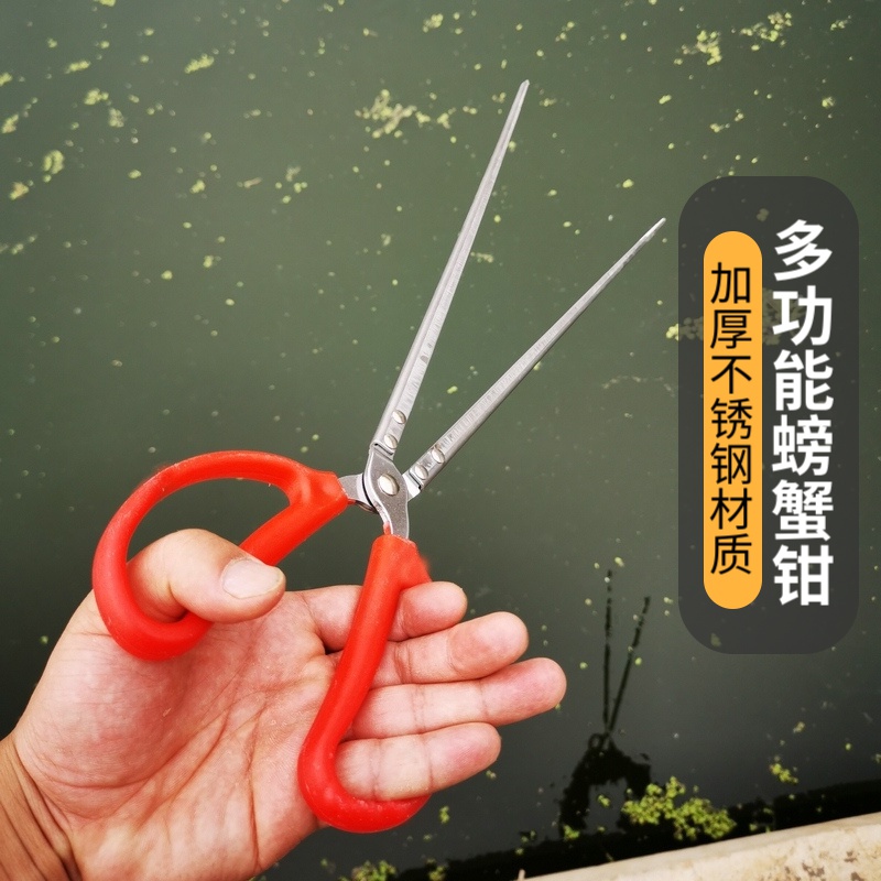 Finless eel holder eel fish loach lobster crab clips stainless steel pliers non-slip special catch tool to catch sea deity