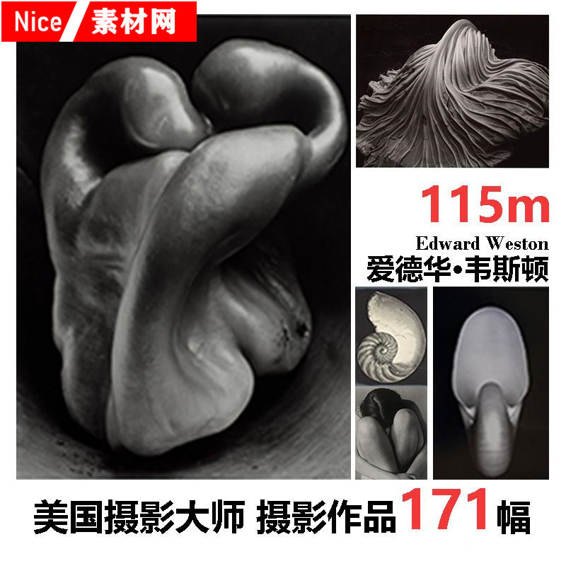 Edward Weston Photography Black and White Still Life Photography Master Reference Materials