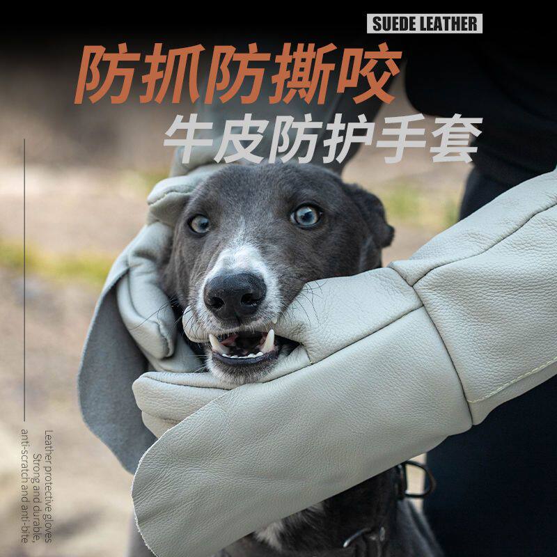 Anti-bite gloves dog training dog anti-dog bite anti-cat scratch pet Kevlar anti-stab anti-scratch dog thickened a