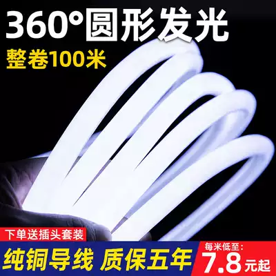 Round LED light strip 360 degree luminous flexible neon light super bright bright outdoor waterproof lighting decoration 220V