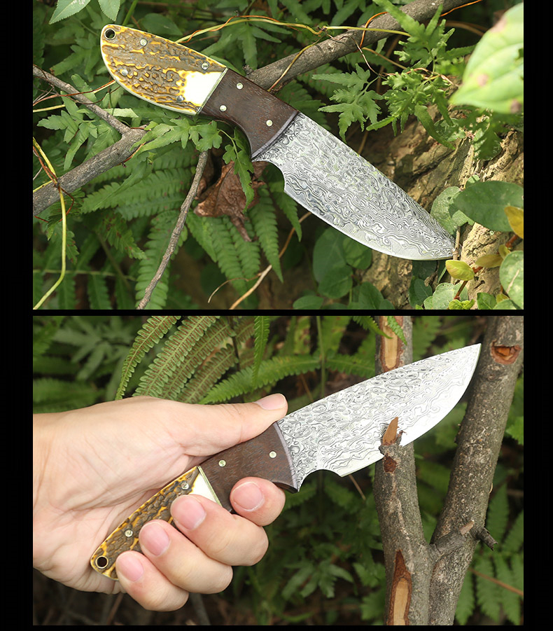 Dao rèn thép Damascus dao sinh tồn sắc bén với công cụ hoang dã sống sót tự kiếm dao quân sự tự vệ - Công cụ Knift / công cụ đa mục đích dụng cụ đa năng victorinox