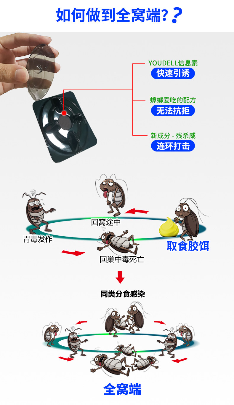 蟑螂克星  家用无毒蟑螂药一窝端灭 图4