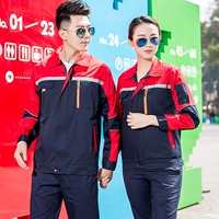 Тибетский синий румянец