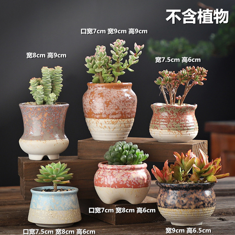 The Fleshy special offer a clearance of creative move coarse pottery flowerpot ceramic old running the breathable meat meat the plants flower pot in large caliber