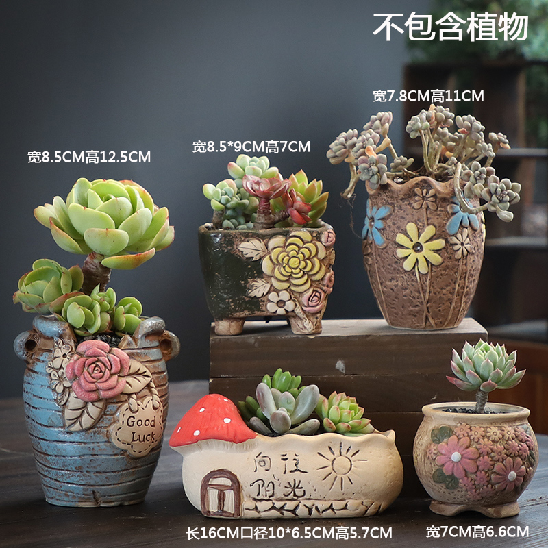 Fleshy flowerpot ceramic creative move meat meat plant kind contracted coarse pottery breathable special offer a clearance flowerpot