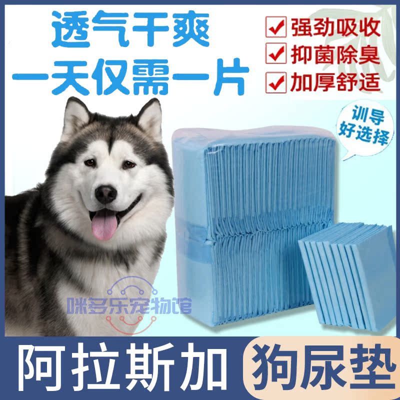 Alaska special guide large dog puppy supplies pet padding urinary urine urine urine diaper on toilet artifacts
