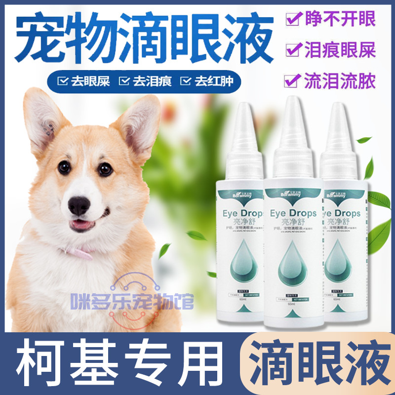 Kokie special pet pooch with eye drops eye drops for tearful inseminators small dogs to be visually bright