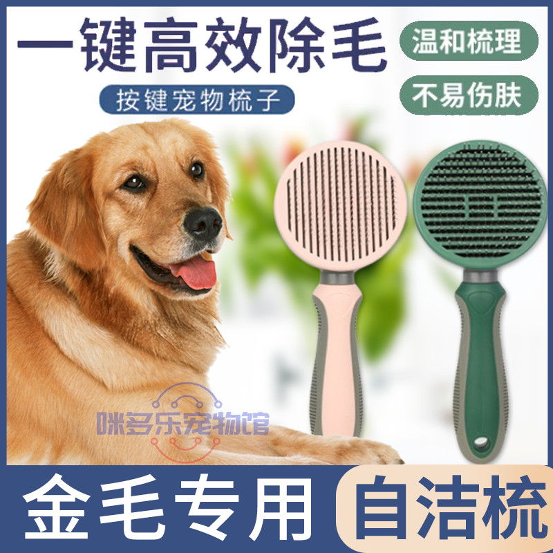 Golden hair for puffy dog with comb self-cleaning brush comb brush artifacts professional hair