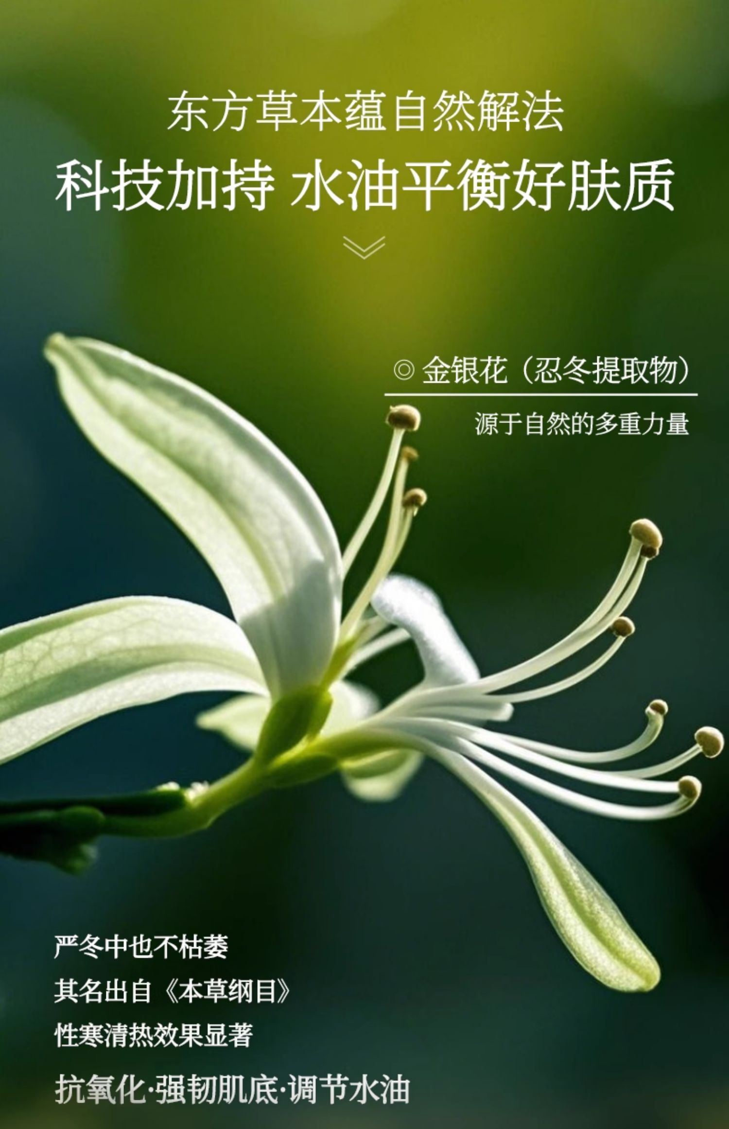 淮树金银花清颜乳霜50g 秋冬补水保湿修护面霜清爽旗舰店护肤品