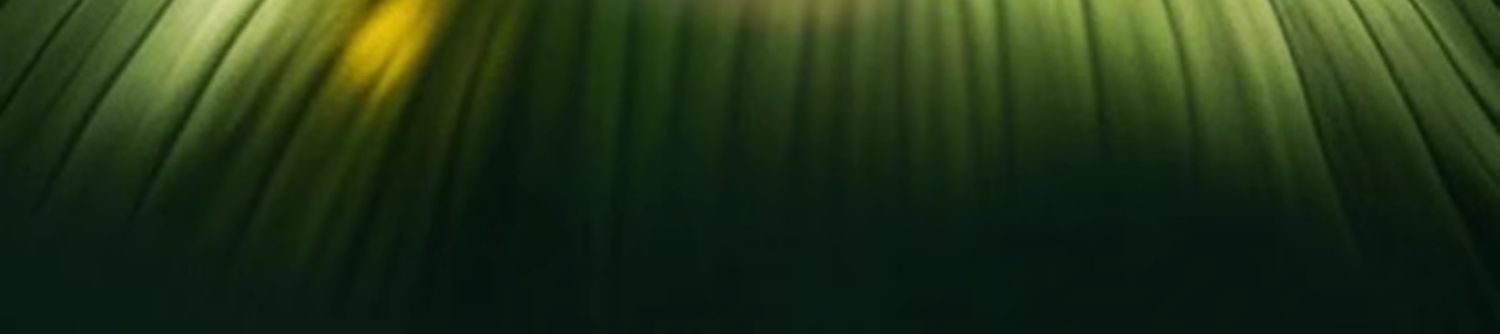 淮树金银花清颜洁面露 控油保湿 深层清洁,男女祛痘洗面奶官方旗舰店正品