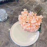 Летняя гортеня шампанское порошок