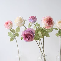 Dai Fei Rose 5 (Purple 2 Pink 2 White 1)