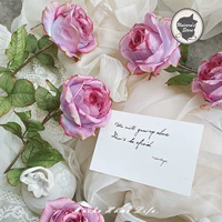 Дай Фей Роуз фиолетовый 5