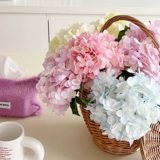 Увлажняющий симуляция цветочный цветок высокий уровень