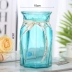 Châu Âu sáng tạo bình thủy tinh màu trong suốt thủy canh pothos vật có hoa huệ bình hoa trang trí phòng khách Vase / Bồn hoa & Kệ